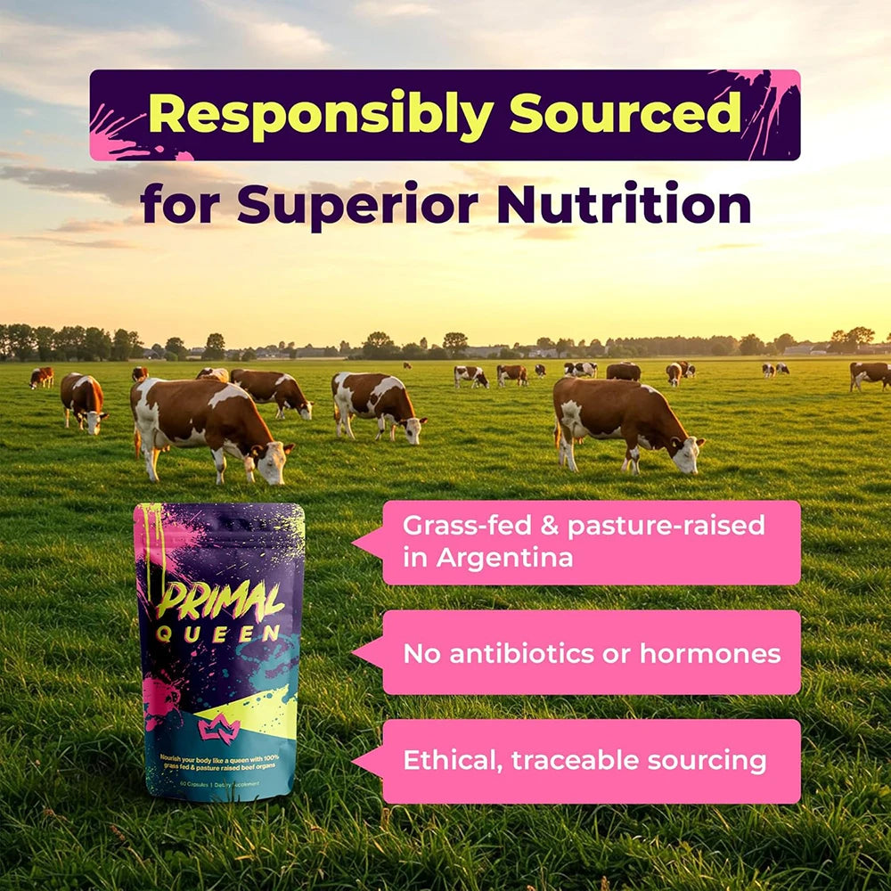 Primal Grass Fed Beef Organ Supplement for Women, Balance Hormones, Better Energy, Mood, & Libido, Improve Menstruation, 60 Caps